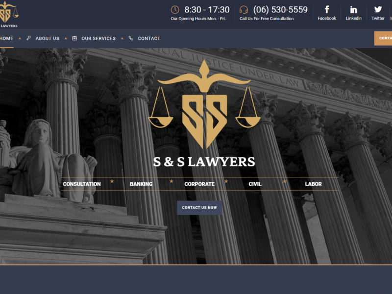 2slawyers website portolio made by future vision for computer system and network